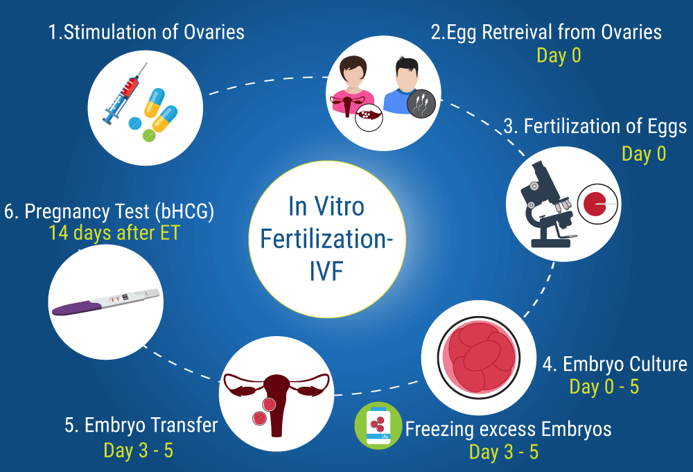 10 Klinik Terbaik Untuk Fertilisasi In Vitro Ivf Di Indonesia 2021 Prices